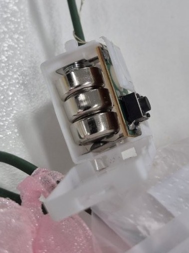An open button battery compartment